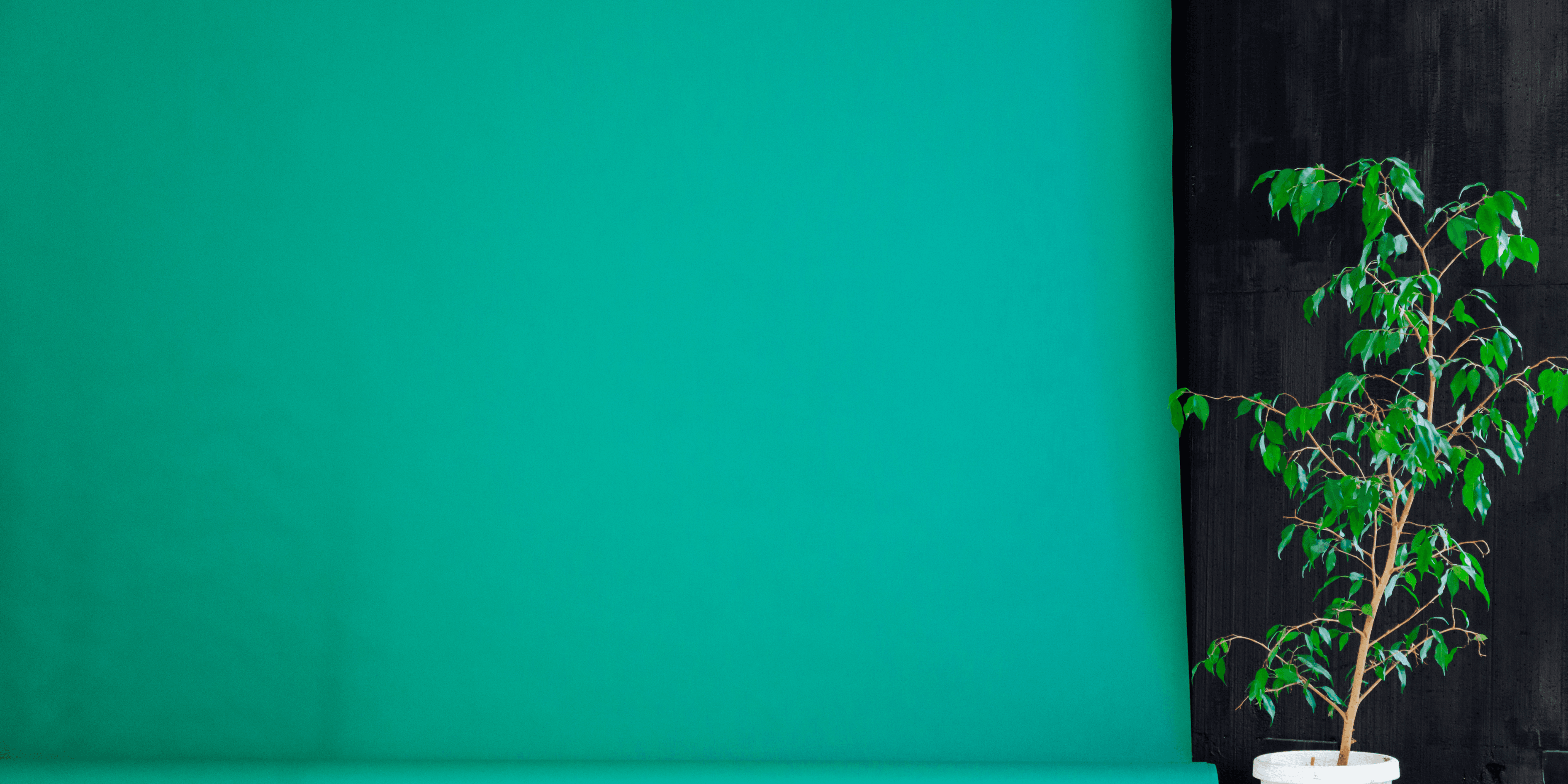 HWH Living - Health and Wellness