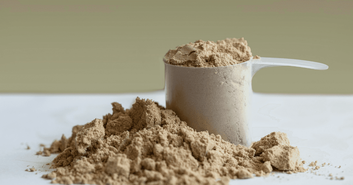 Protein Powder 101: How to Choose the Best Option for Your Needs